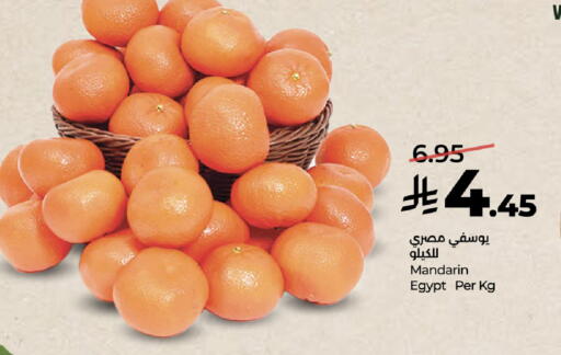 Mandarin from Egypt available at LULU Hypermarket in KSA, Saudi Arabia, Saudi - Mecca