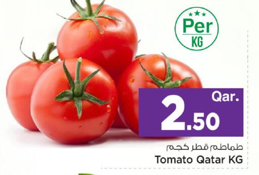 Tomato available at مارك & سيف in قطر - الريان