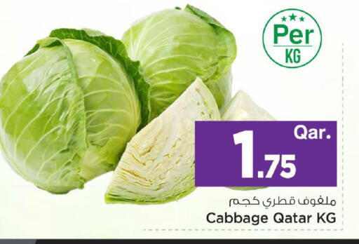 Cabbage from Qatar available at Mark & Save  in Qatar - Al Rayyan