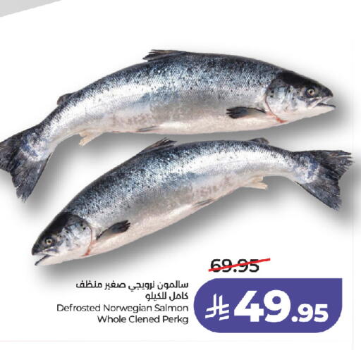 available at لولو هايبرماركت in مملكة العربية السعودية, السعودية, سعودية - جدة