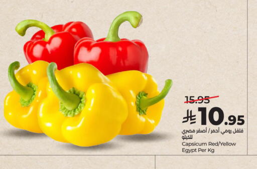 Capsicum from Egypt available at LULU Hypermarket in KSA, Saudi Arabia, Saudi - Al Hasa