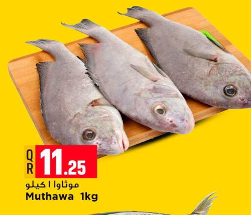 available at مرزا هايبرماركت in قطر - الشمال