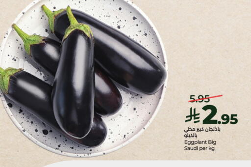 Eggplant from Saudi Arabia available at لولو هايبرماركت in مملكة العربية السعودية, السعودية, سعودية - عنيزة