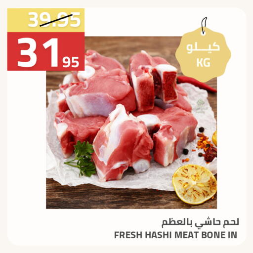 available at أسواق أسترا in مملكة العربية السعودية, السعودية, سعودية - تبوك
