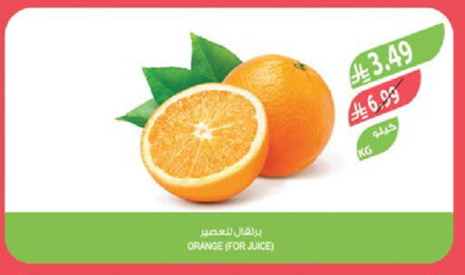 Orange available at المزرعة in مملكة العربية السعودية, السعودية, سعودية - عرعر