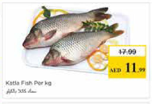 available at نستو هايبرماركت in الإمارات العربية المتحدة , الامارات - الشارقة / عجمان