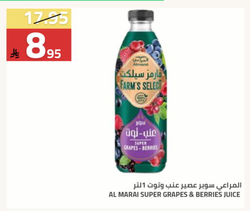 Grapes available at أسواق أسترا in مملكة العربية السعودية, السعودية, سعودية - تبوك