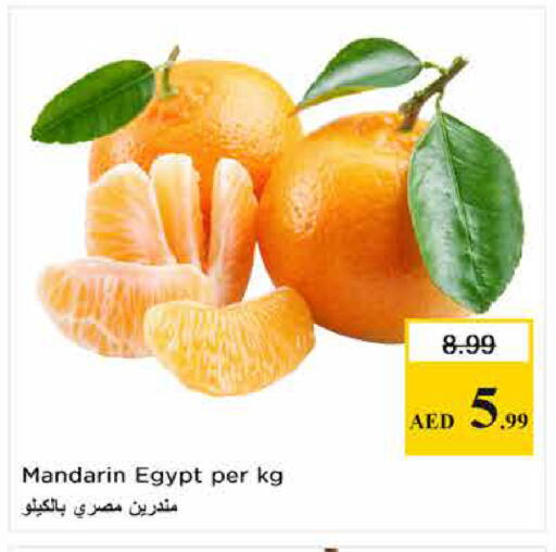 Mandarin from Egypt available at لاست تشانس in الإمارات العربية المتحدة , الامارات - ٱلْفُجَيْرَة‎