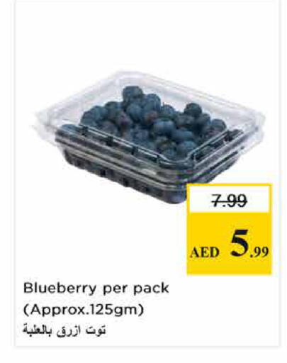 Blueberry BlueBerry available at لاست تشانس in الإمارات العربية المتحدة , الامارات - ٱلْفُجَيْرَة‎