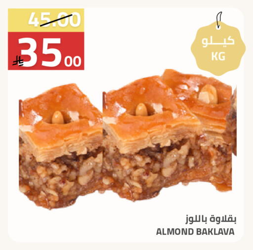 available at أسواق أسترا in مملكة العربية السعودية, السعودية, سعودية - تبوك