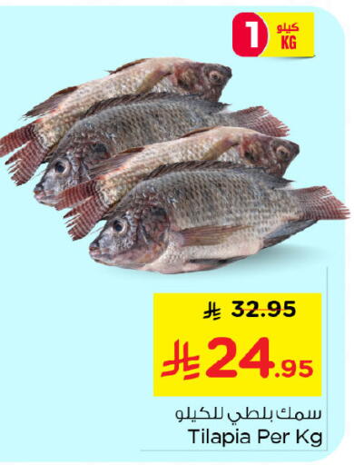 available at نستو in مملكة العربية السعودية, السعودية, سعودية - الجبيل‎