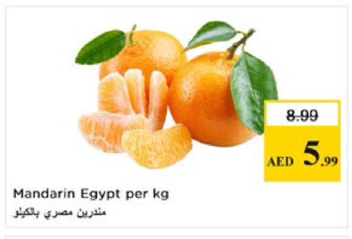 Mandarin from Egypt available at Nesto Hypermarket in UAE - Al Ain