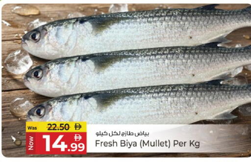 available at Kenz Hypermarket in UAE - Sharjah / Ajman