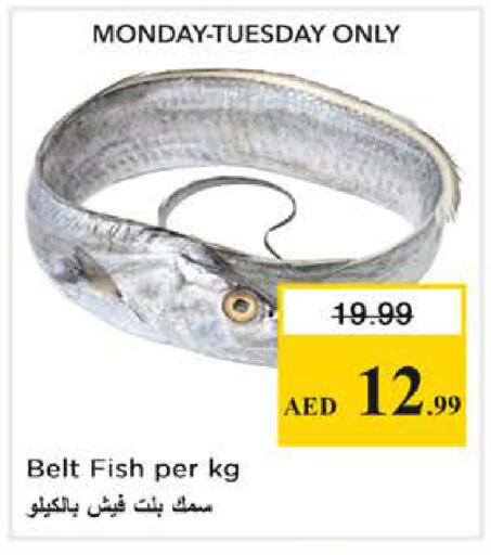 available at نستو هايبرماركت in الإمارات العربية المتحدة , الامارات - أبو ظبي