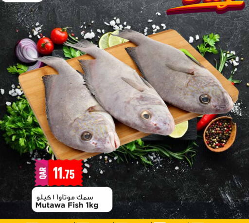 available at Marza Hypermarket in Qatar - Al Daayen