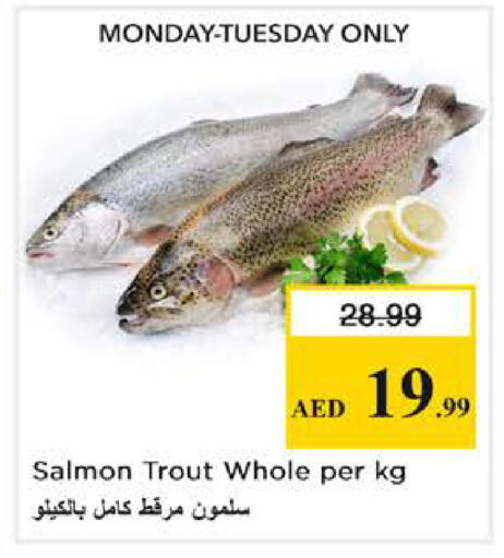 available at نستو هايبرماركت in الإمارات العربية المتحدة , الامارات - أبو ظبي