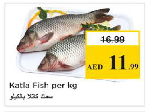 available at نستو هايبرماركت in الإمارات العربية المتحدة , الامارات - أبو ظبي