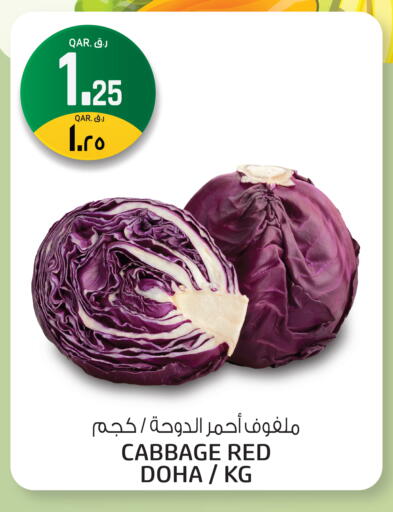 Cabbage available at Kenz Mini Mart in Qatar - Umm Salal