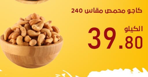 available at بن عفيف in مملكة العربية السعودية, السعودية, سعودية - المنطقة الشرقية