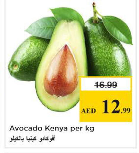 Avocado from Kenya available at Nesto Hypermarket in UAE - Abu Dhabi