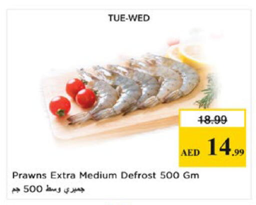 available at نستو هايبرماركت in الإمارات العربية المتحدة , الامارات - ٱلْعَيْن‎