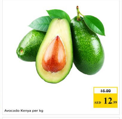 Avocado from Kenya available at Nesto Hypermarket in UAE - Dubai