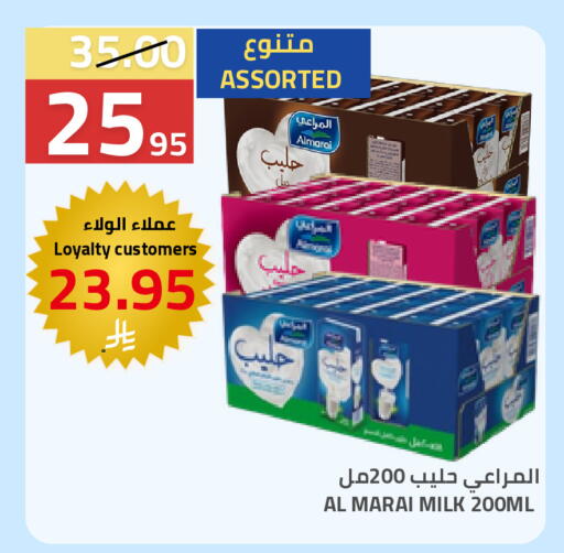 available at أسواق أسترا in مملكة العربية السعودية, السعودية, سعودية - تبوك