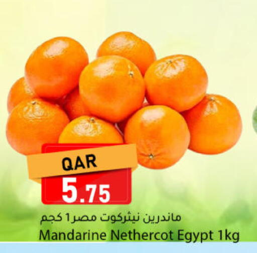 from Egypt available at Dana Market in Qatar - Al-Shahaniya