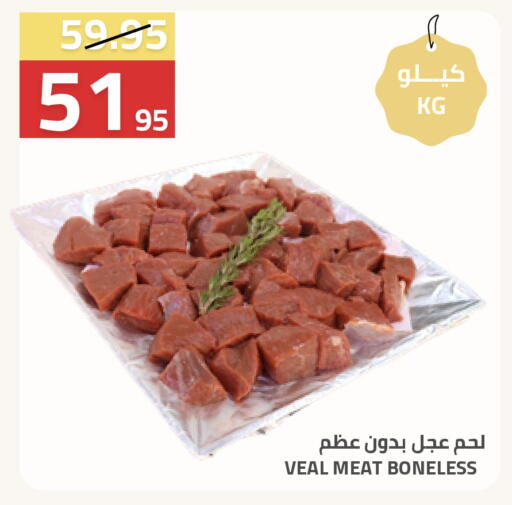 available at أسواق أسترا in مملكة العربية السعودية, السعودية, سعودية - تبوك