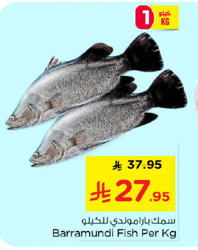 available at نستو in مملكة العربية السعودية, السعودية, سعودية - الجبيل‎