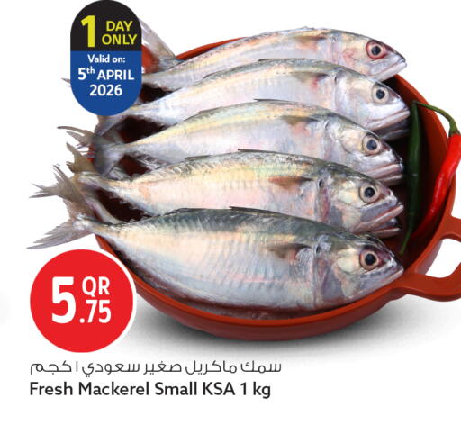 available at سفاري هايبر ماركت in قطر - الريان