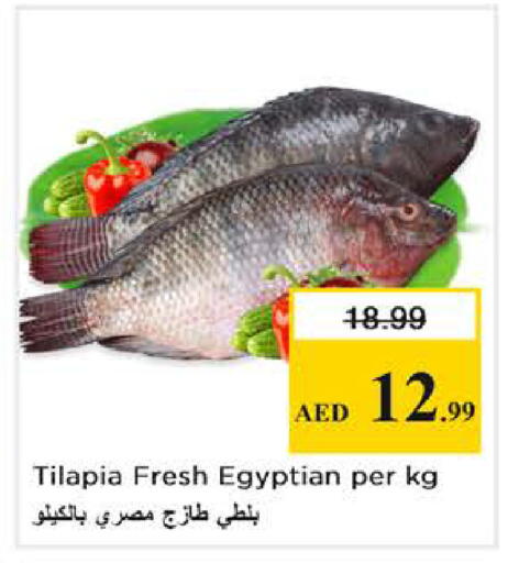 available at نستو هايبرماركت in الإمارات العربية المتحدة , الامارات - أبو ظبي