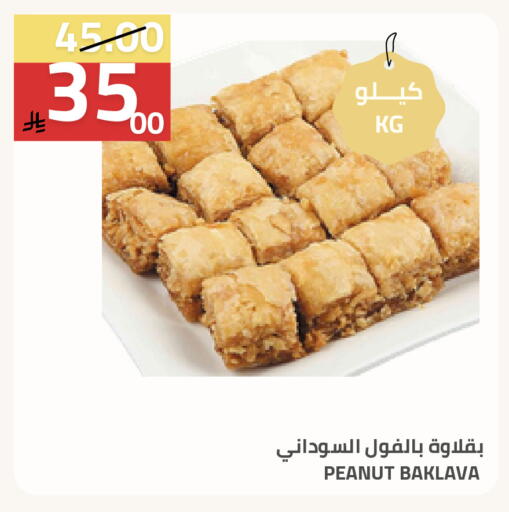 available at أسواق أسترا in مملكة العربية السعودية, السعودية, سعودية - تبوك
