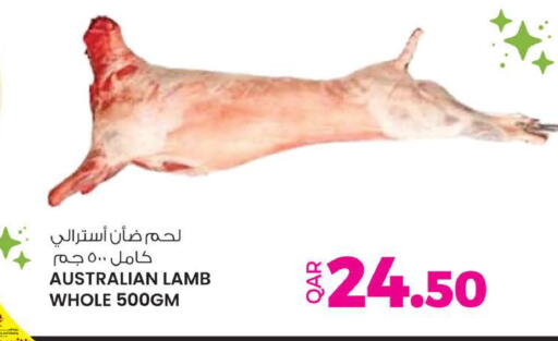available at أنصار جاليري in قطر - الريان