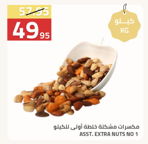 available at أسواق أسترا in مملكة العربية السعودية, السعودية, سعودية - تبوك
