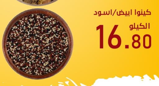 available at بن عفيف in مملكة العربية السعودية, السعودية, سعودية - المنطقة الشرقية