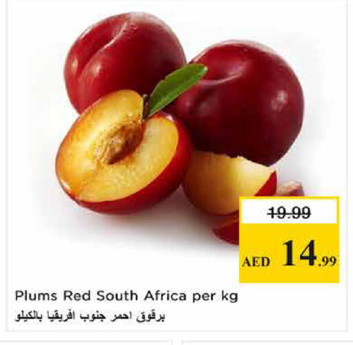 Plums from South Africa available at لاست تشانس in الإمارات العربية المتحدة , الامارات - ٱلْفُجَيْرَة‎