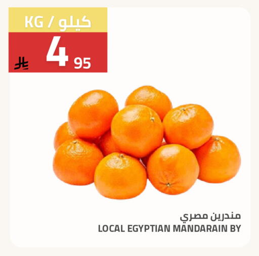 from Egypt available at أسواق أسترا in مملكة العربية السعودية, السعودية, سعودية - تبوك