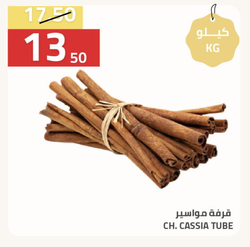 available at أسواق أسترا in مملكة العربية السعودية, السعودية, سعودية - تبوك