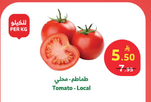 Tomato available at الراية in مملكة العربية السعودية, السعودية, سعودية - أبها