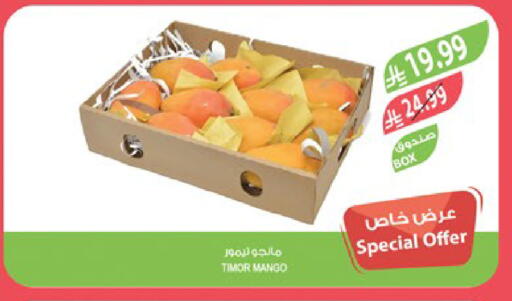 Mango available at Farm  in KSA, Saudi Arabia, Saudi - Sakaka