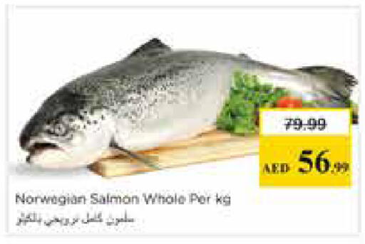 available at نستو هايبرماركت in الإمارات العربية المتحدة , الامارات - الشارقة / عجمان