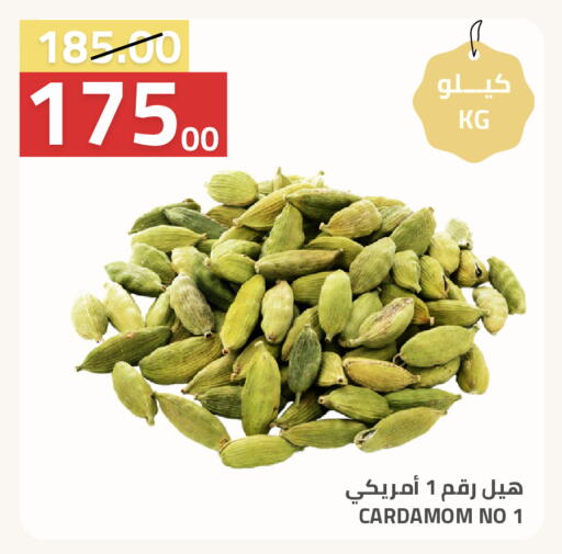 Cardamom available at أسواق أسترا in مملكة العربية السعودية, السعودية, سعودية - تبوك