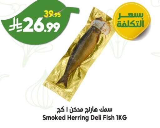 available at الدكان in مملكة العربية السعودية, السعودية, سعودية - المدينة المنورة