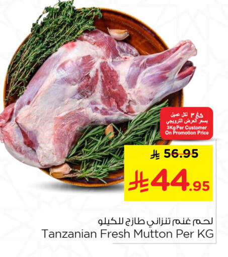 available at نستو in مملكة العربية السعودية, السعودية, سعودية - المنطقة الشرقية