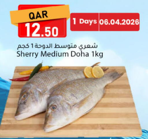 available at دانا ماركت in قطر - الشحانية