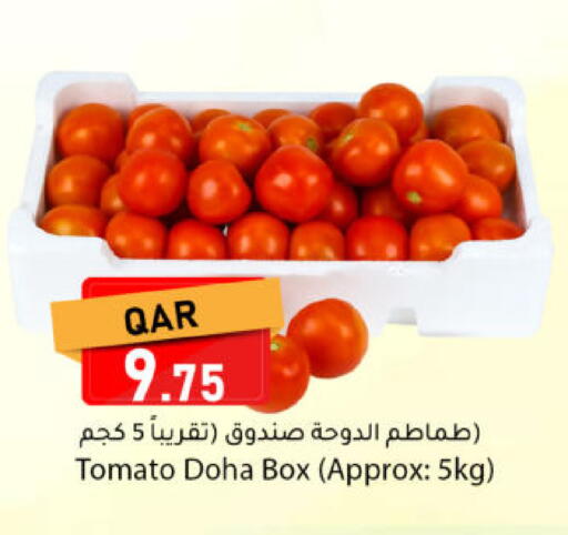 Tomato from Qatar available at Dana Market in Qatar - Al Wakra