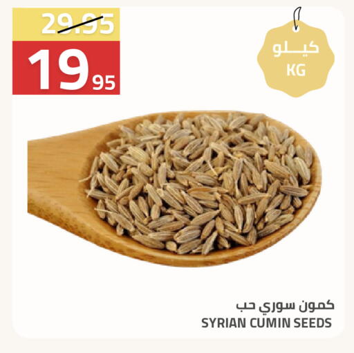 Cumin available at أسواق أسترا in مملكة العربية السعودية, السعودية, سعودية - تبوك