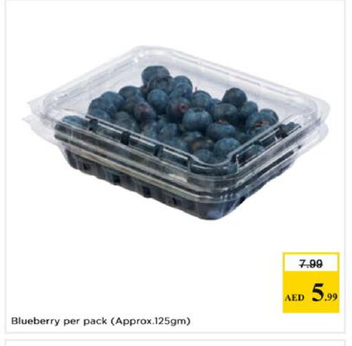 Blueberry BlueBerry available at Nesto Hypermarket in UAE - Dubai