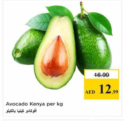Avocado from Kenya available at لاست تشانس in الإمارات العربية المتحدة , الامارات - ٱلْفُجَيْرَة‎